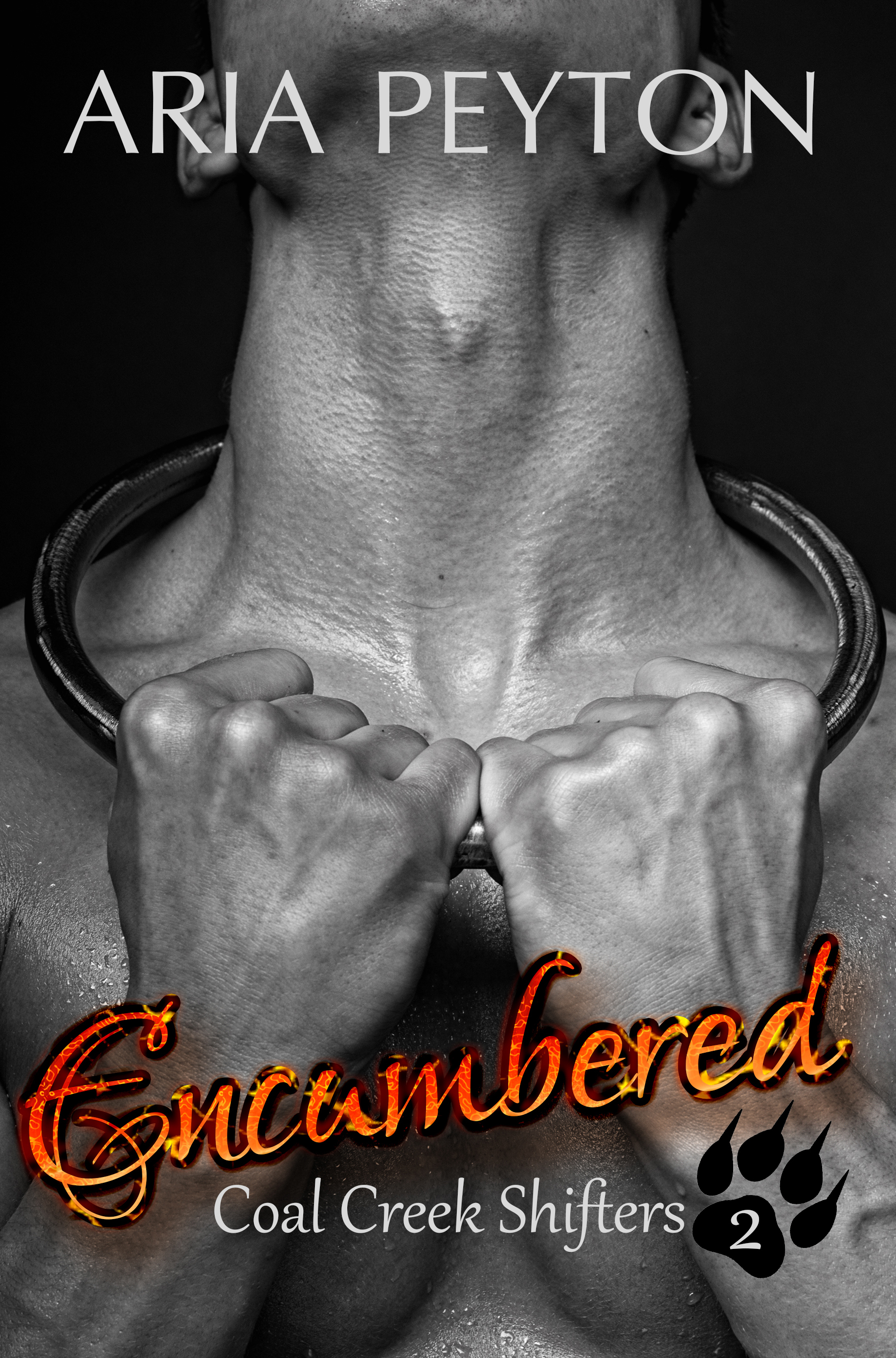 Encumbered book cover
