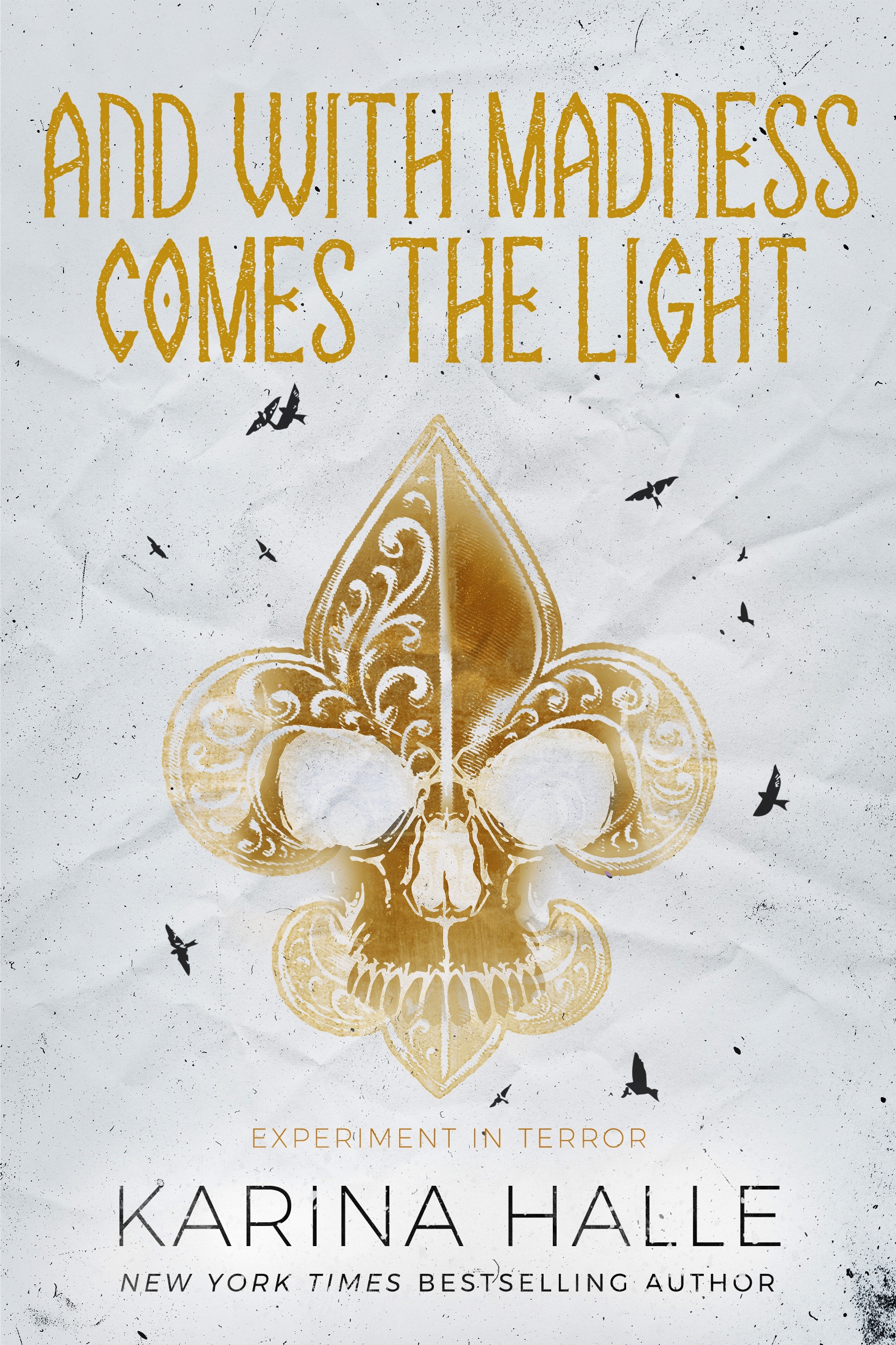 And With Madness Comes the Light book cover