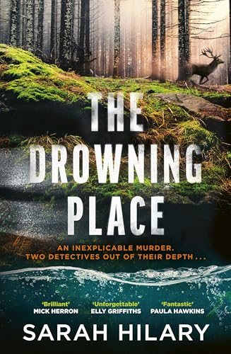 The Drowning Place book cover