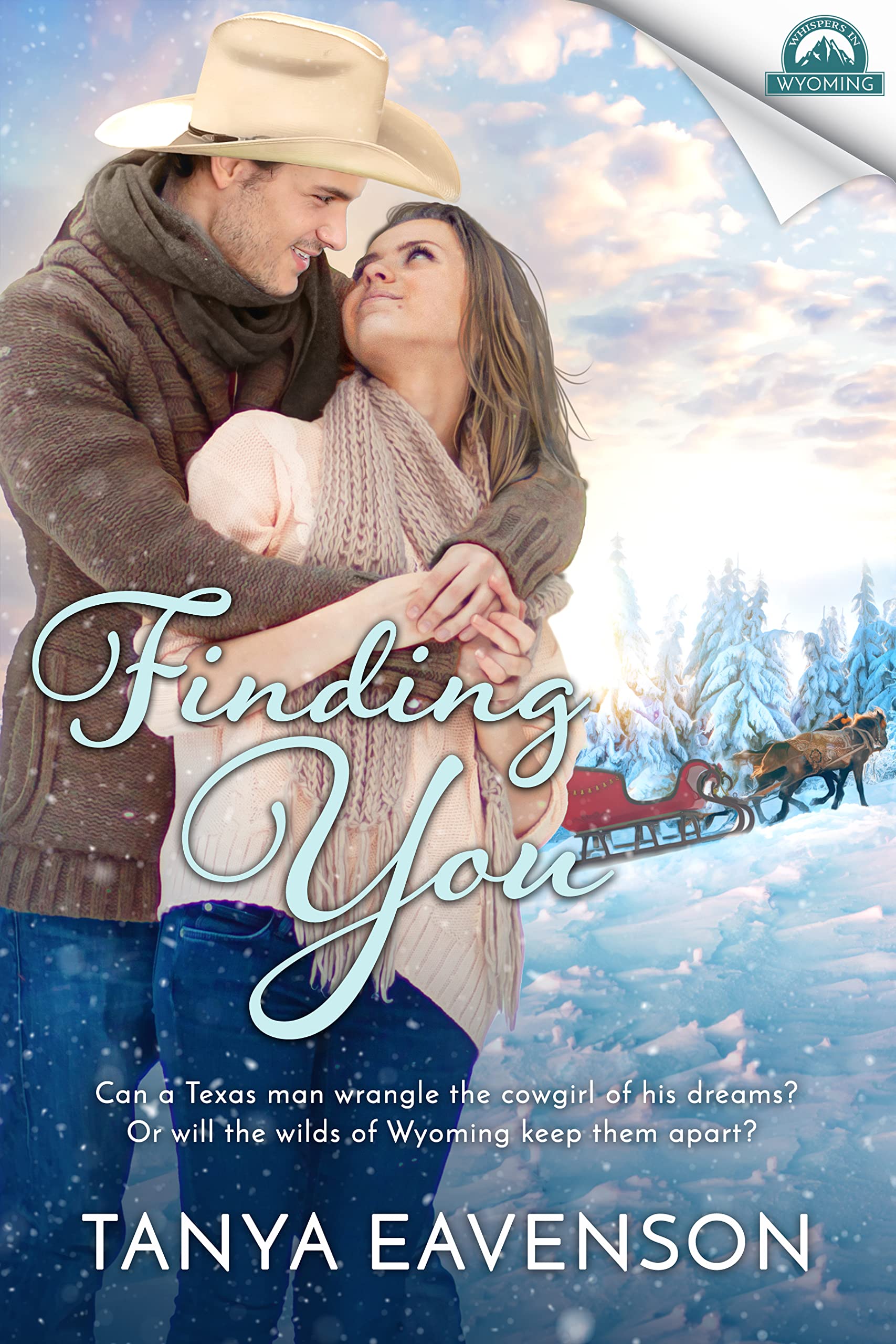 Finding You book cover