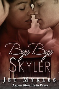 Bye Bye Skyler book cover