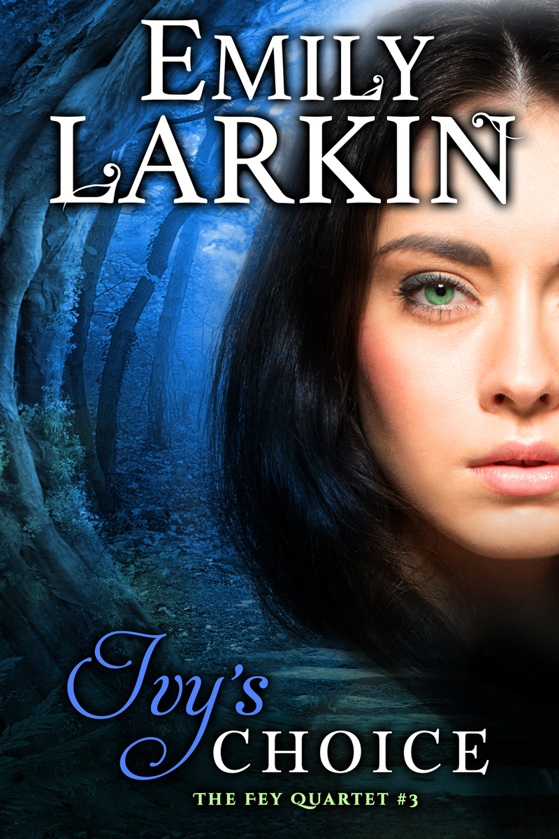 Fey Quartet book cover 3