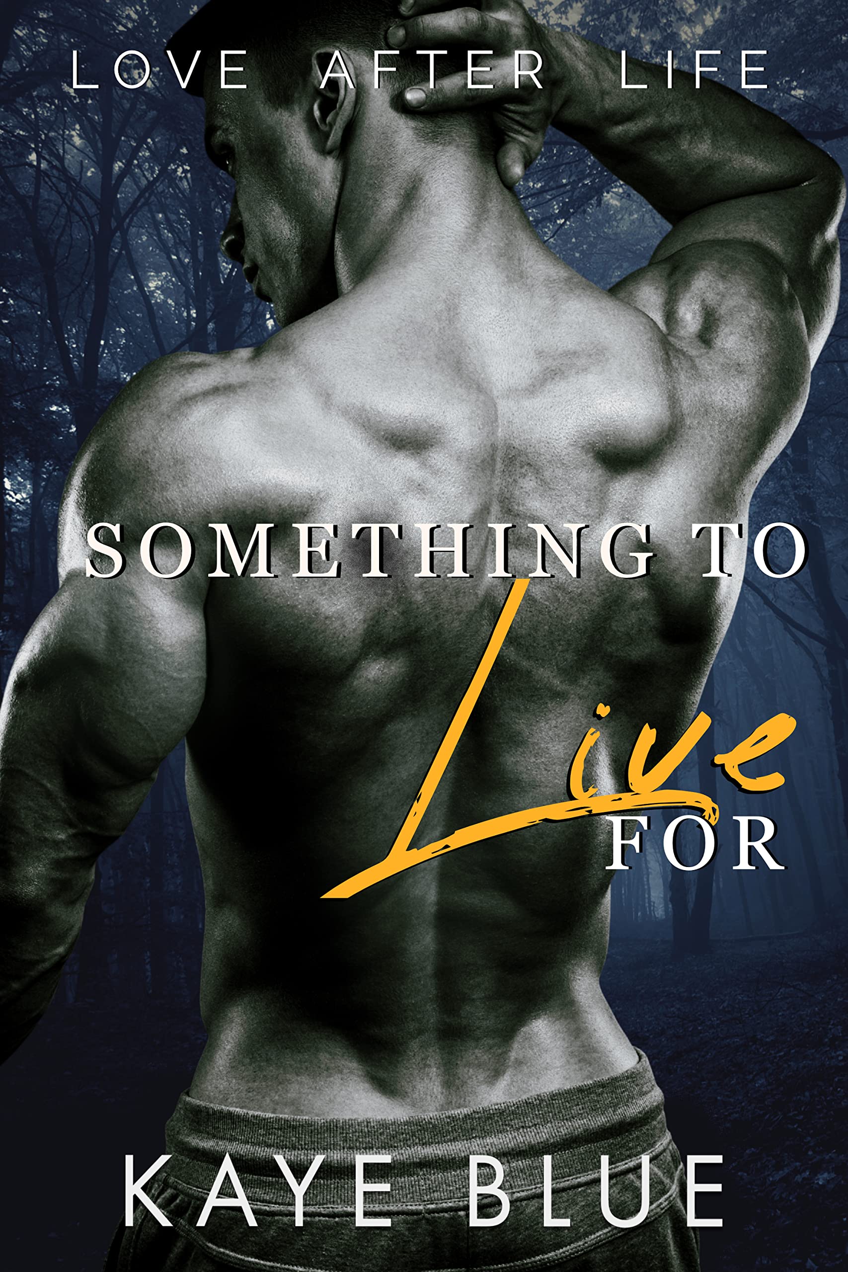 Love After Life book cover 2
