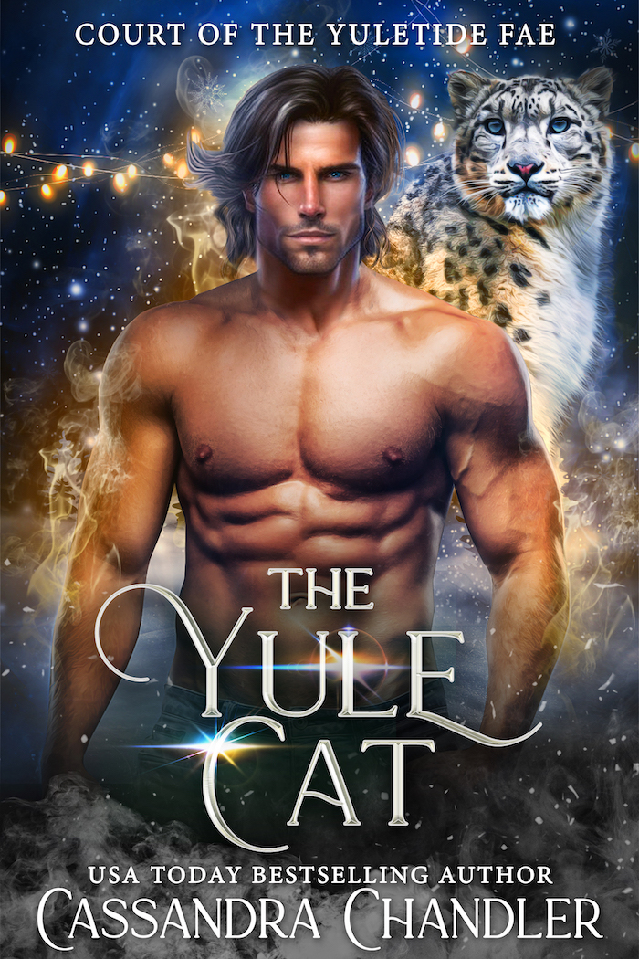 Court of the Yuletide Fae book cover 1