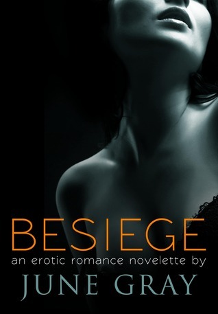 Disarm book cover 2