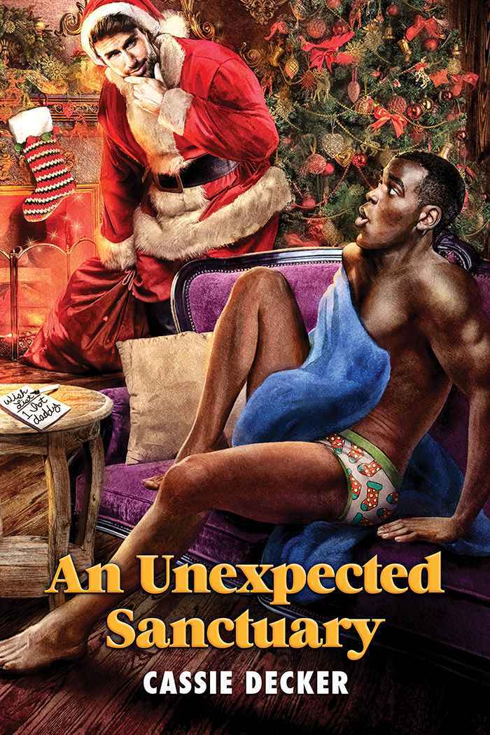 An Unexpected Sanctuary book cover