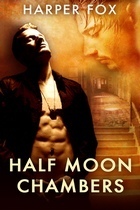Half Moon Chambers book cover