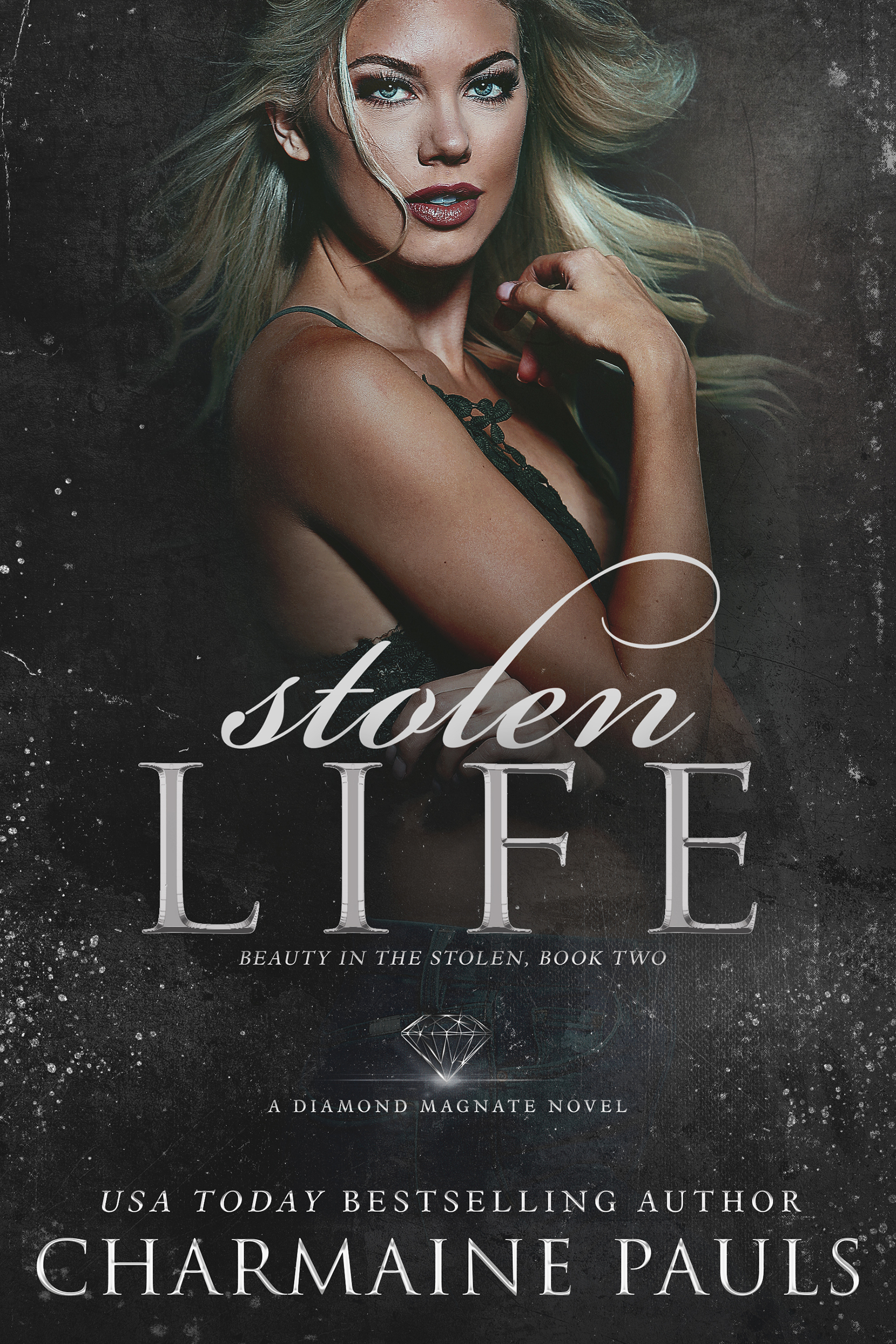 Beauty in the Stolen book cover 2