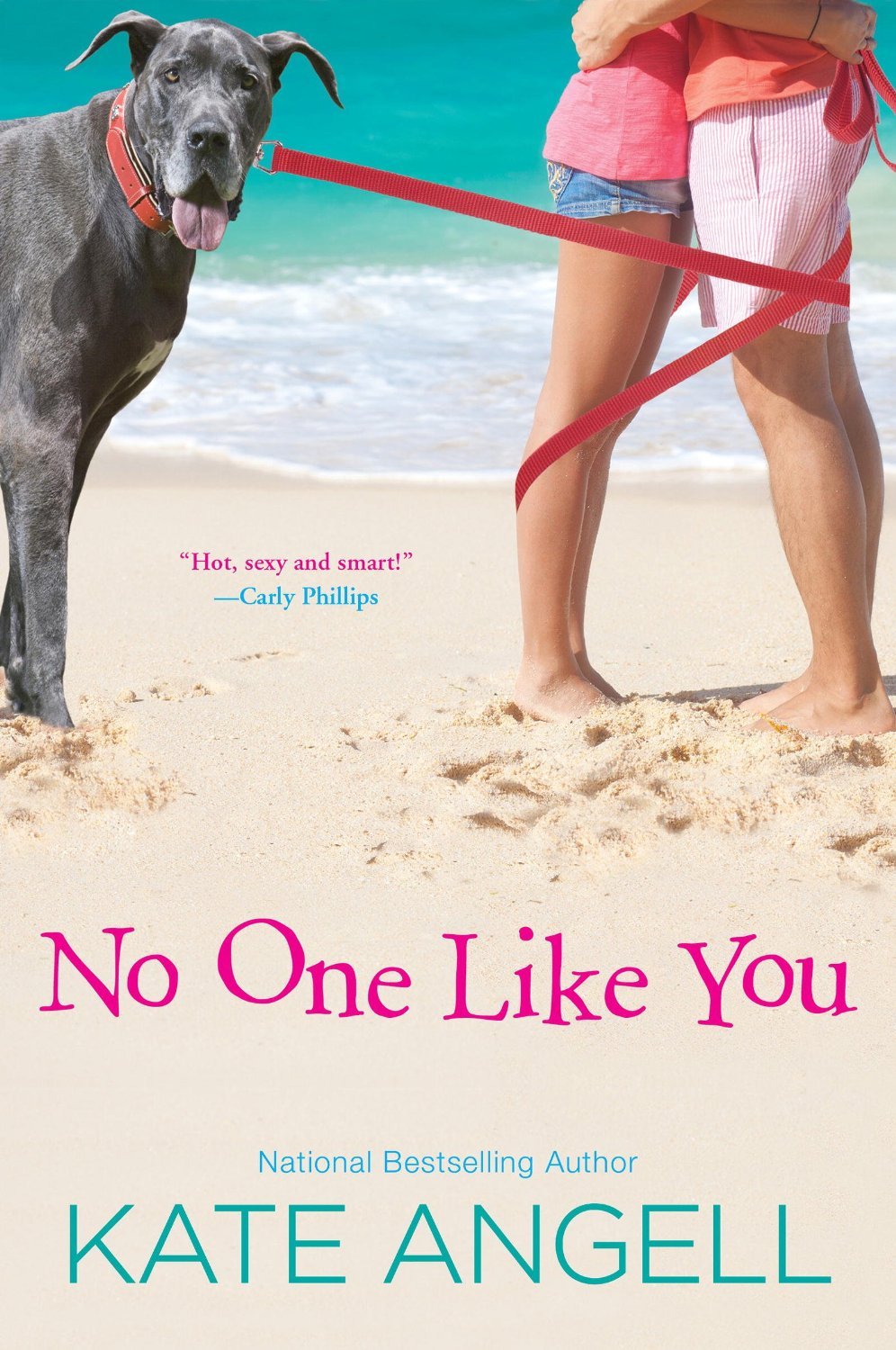 No One Like You book cover