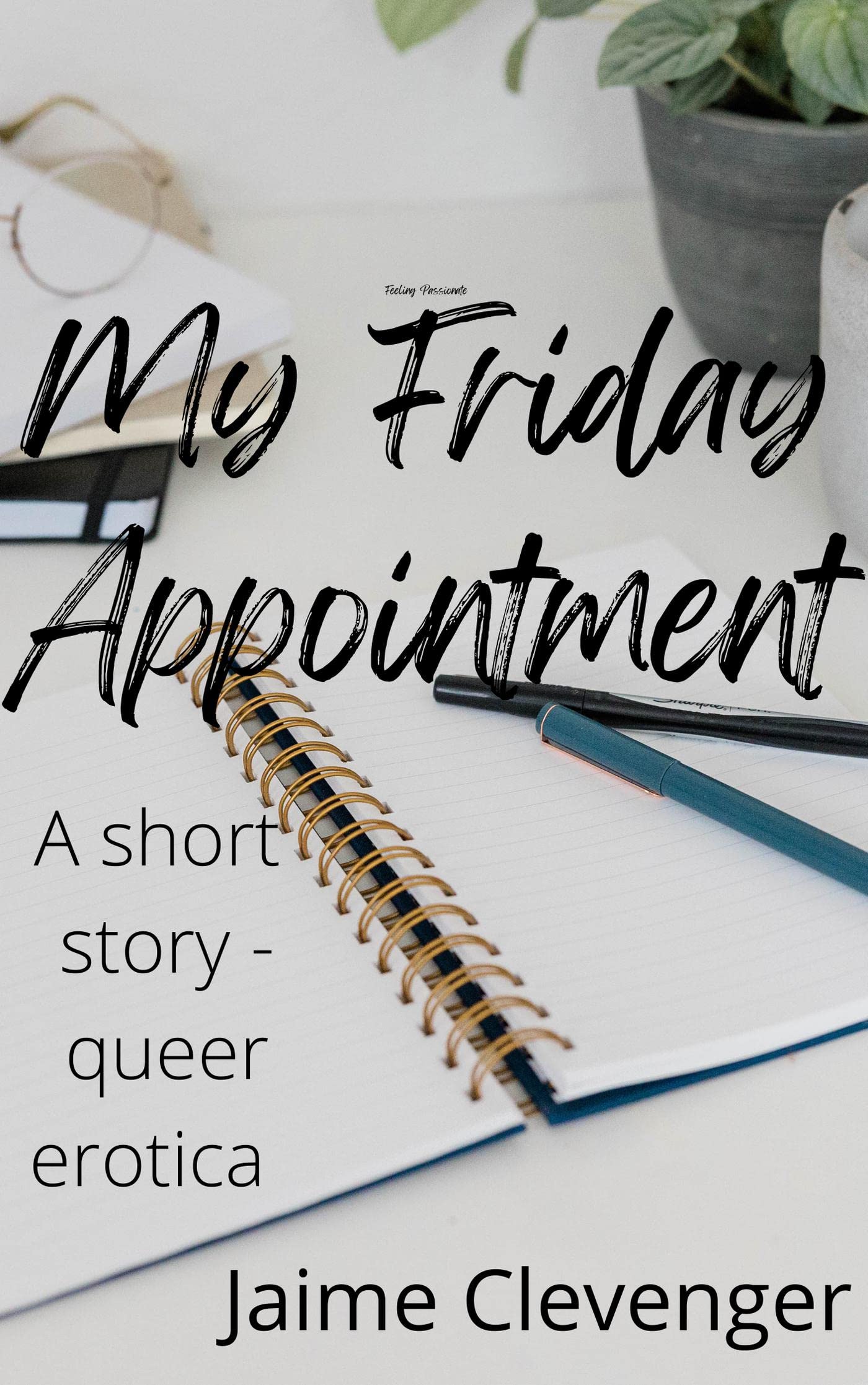 My Friday Appointment book cover