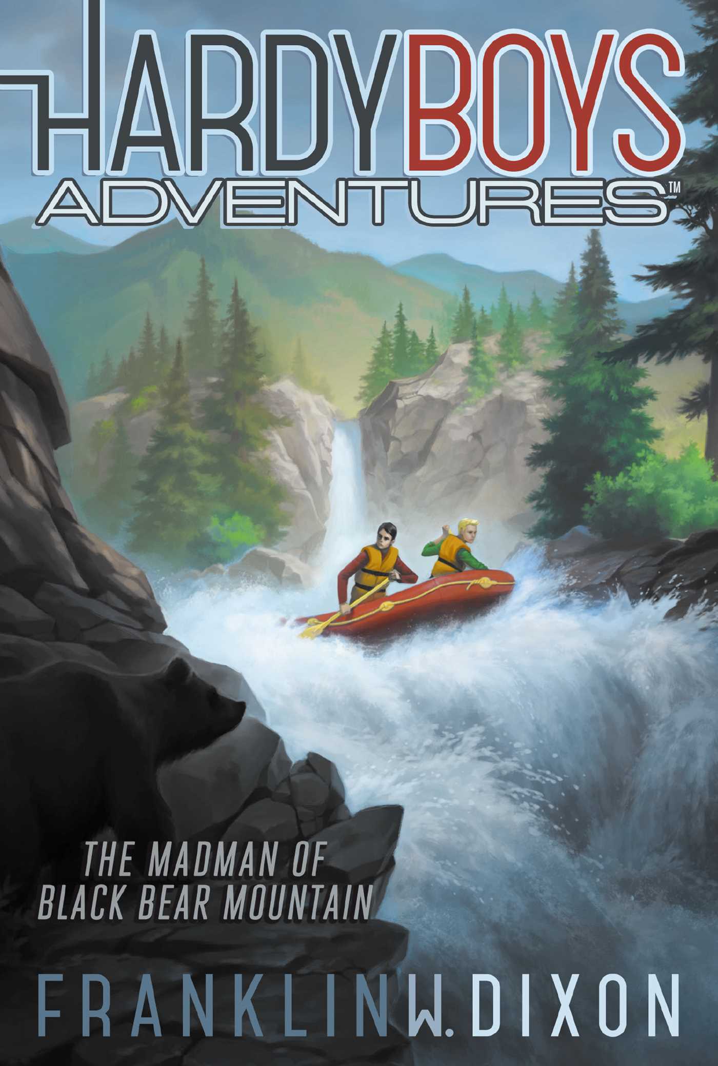 The Madman of Black Bear Mountain book cover