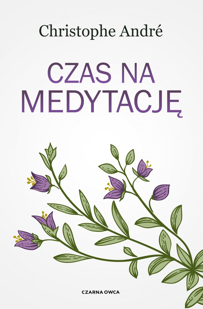 Czas na medytację book cover