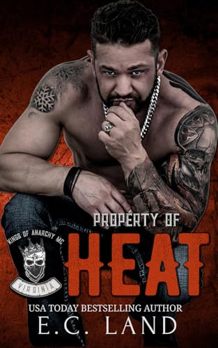 Kings of Anarchy MC book cover 1