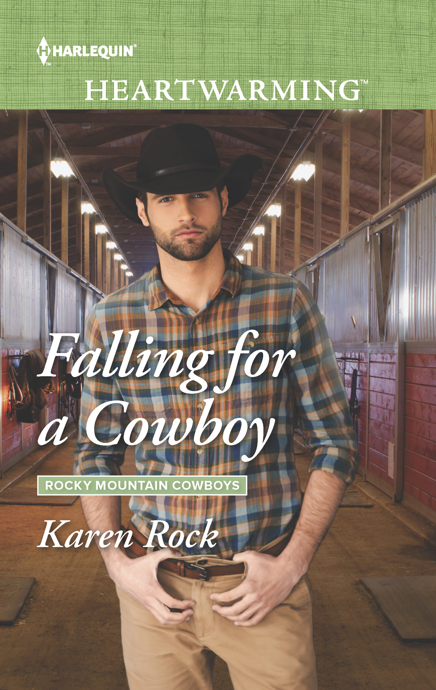 Rocky Mountain Cowboys book cover 2