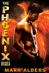 The Phoenix Rises book cover