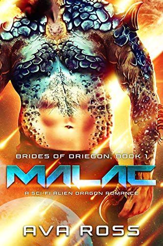Brides of Driegon book cover 1