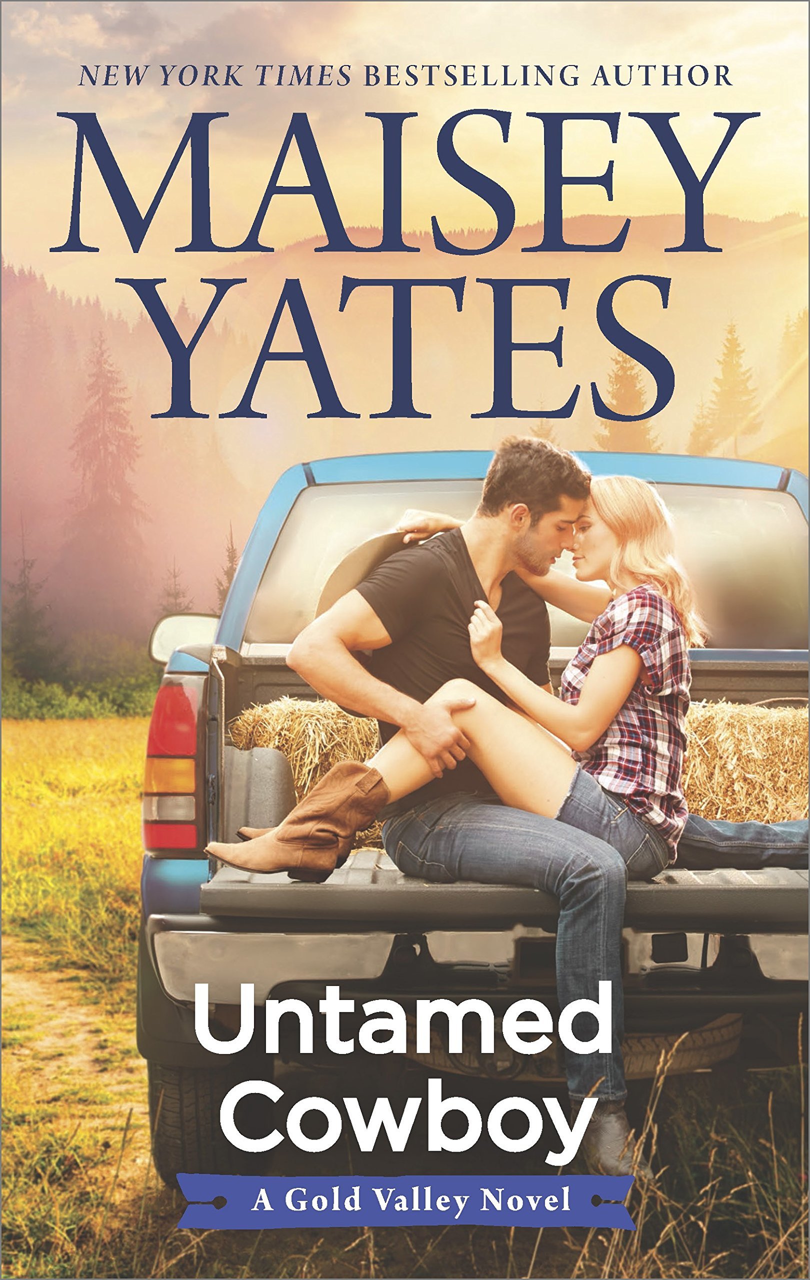 Gold Valley book cover 2
