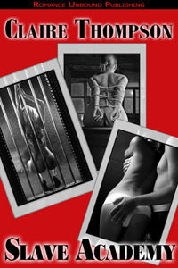 Slave Academy book cover