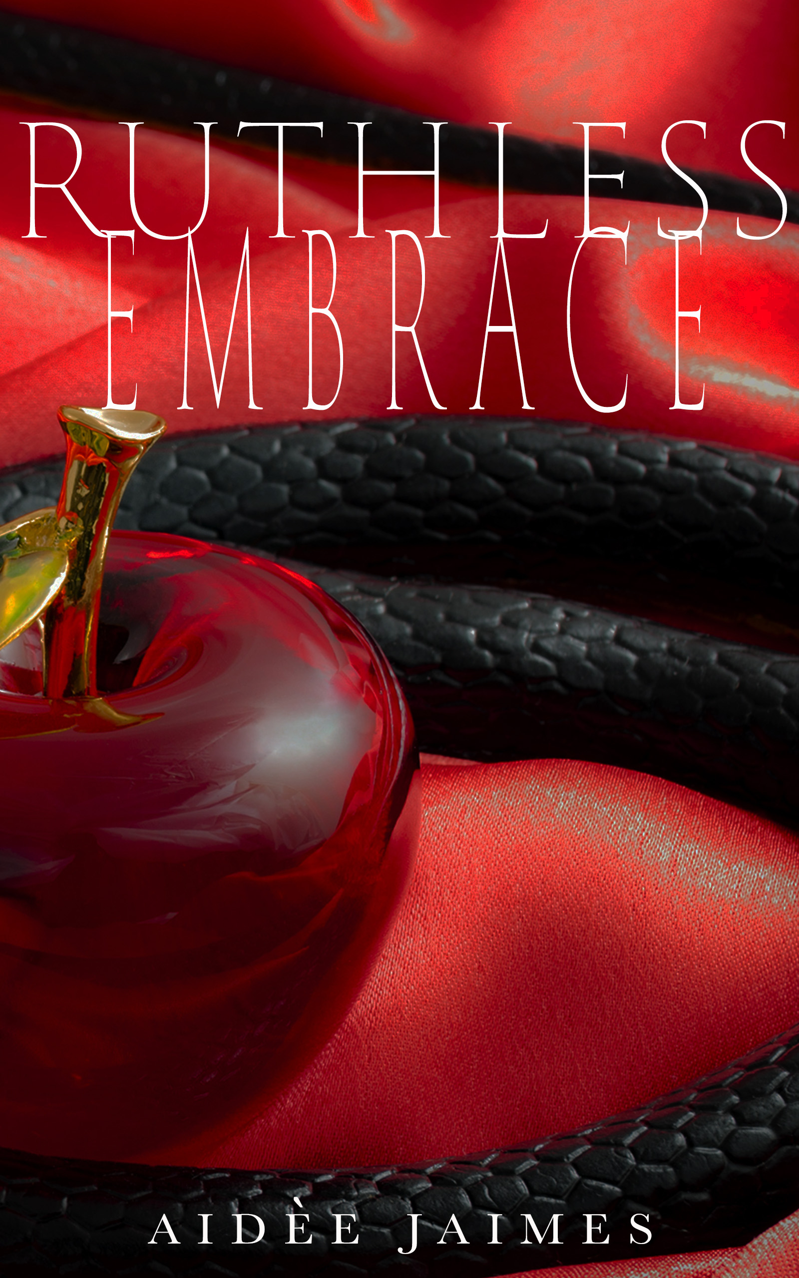 Cruel Duet book cover 2