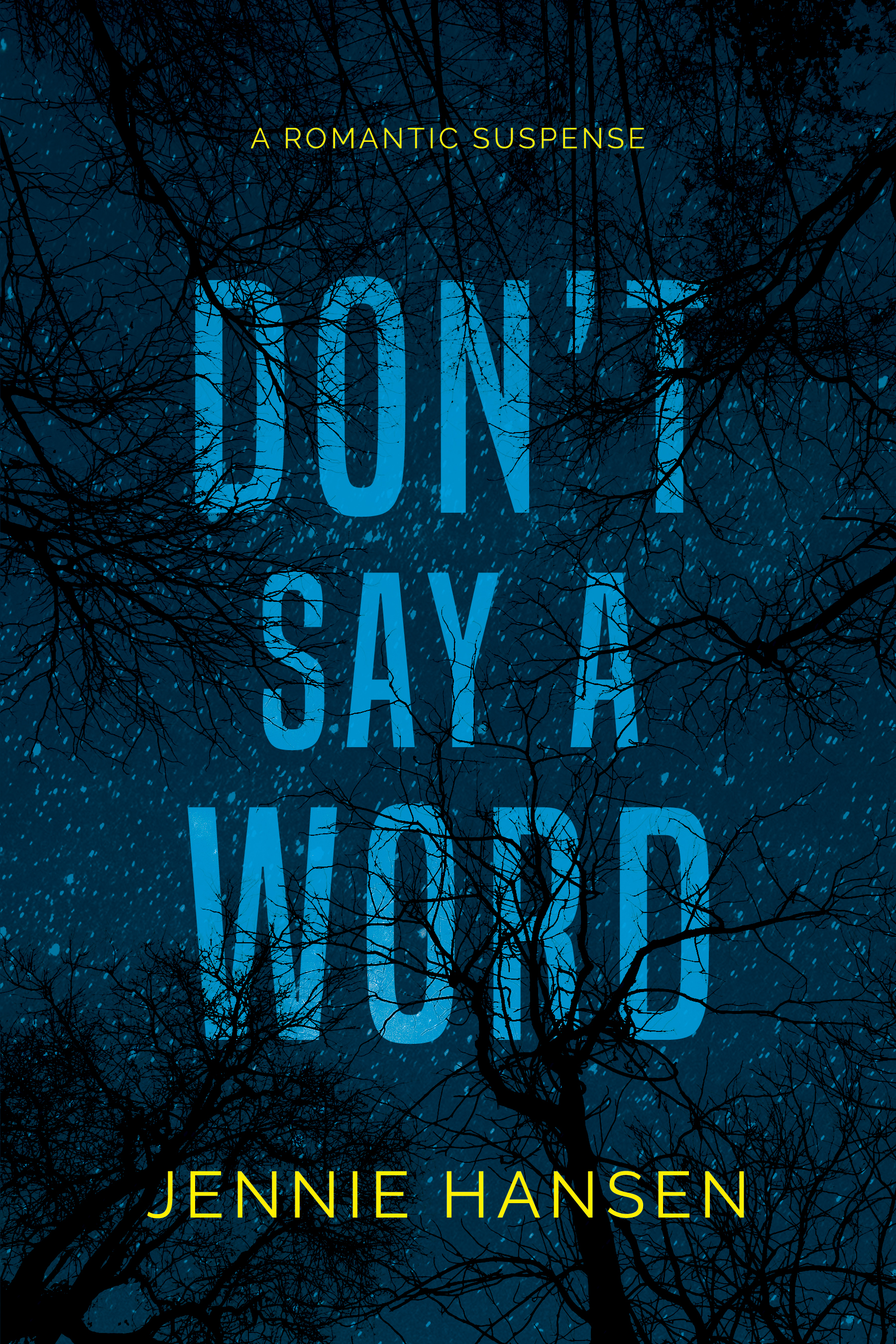 Don't Say a Word book cover