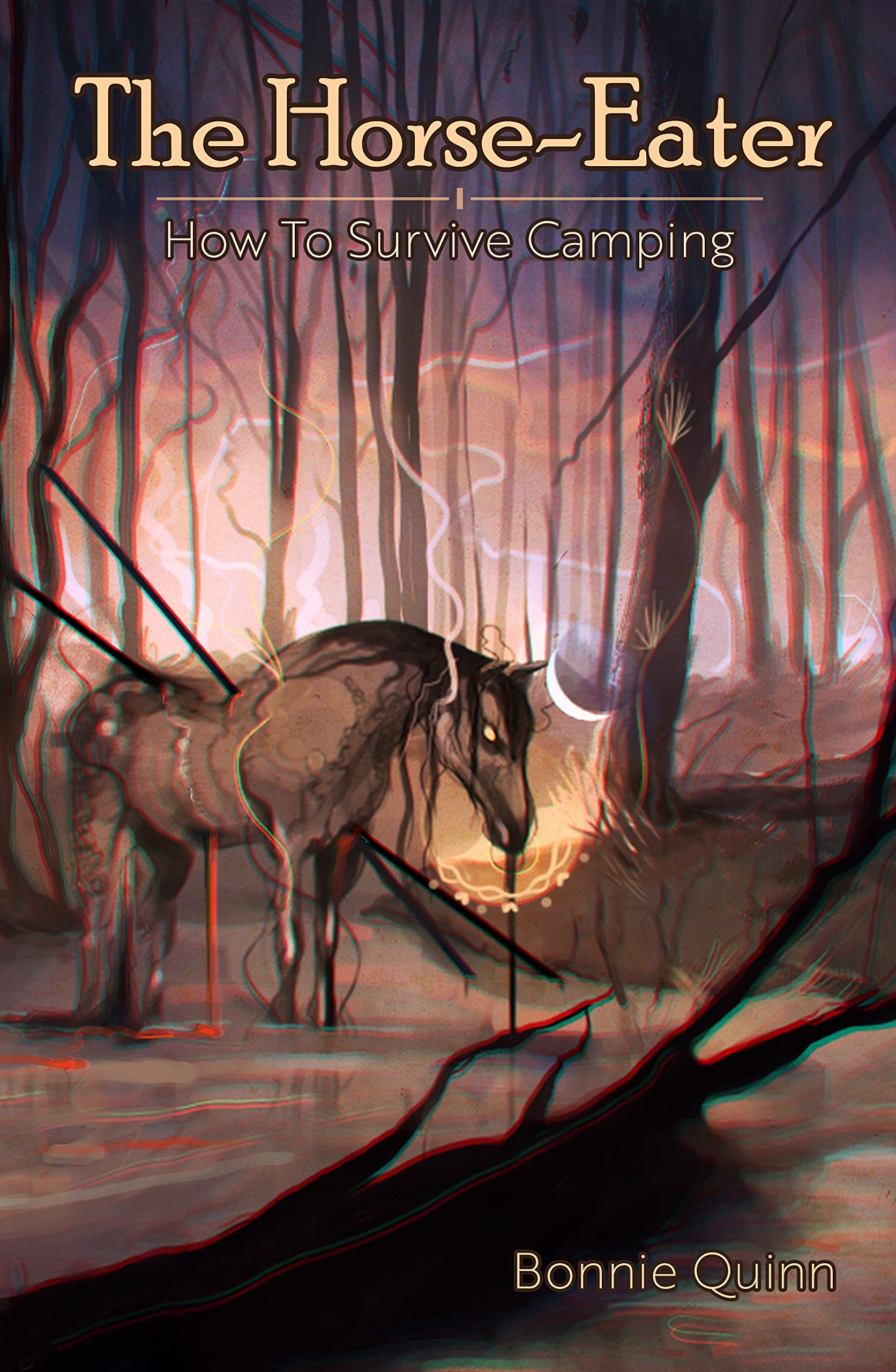 How to Survive Camping book cover 3