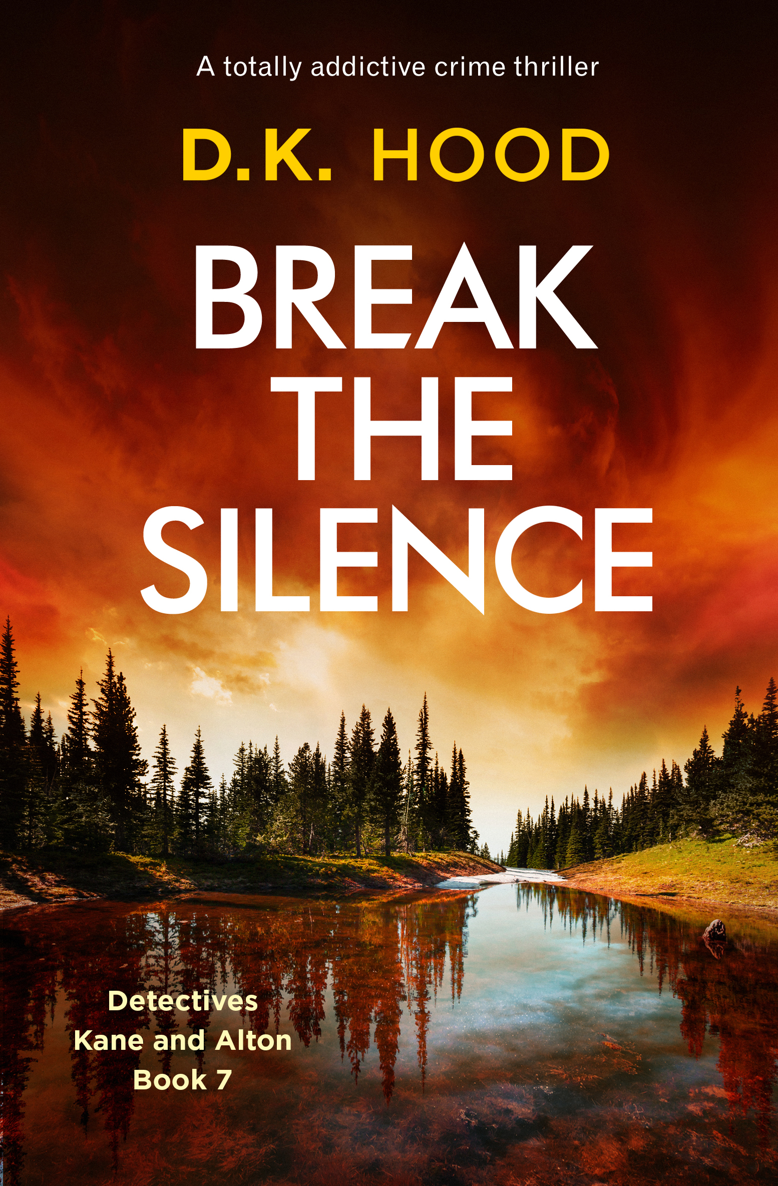 Break the Silence book cover