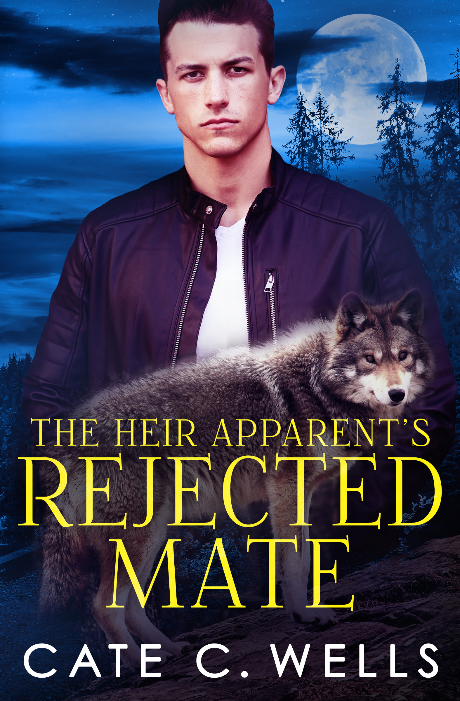 The Heir Apparent's Rejected Mate book cover