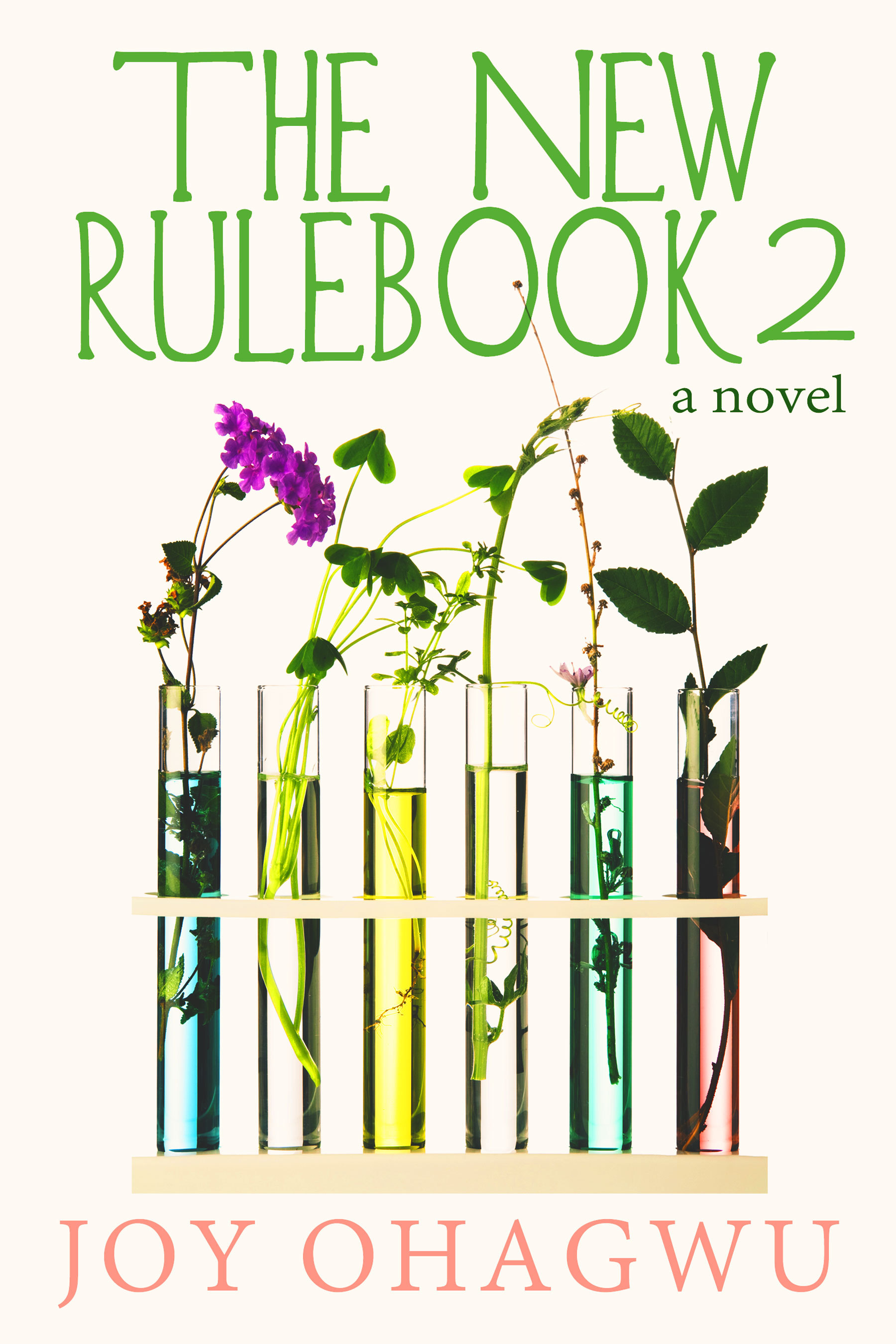 The New Rulebook book cover 2
