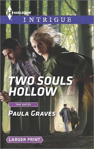 Two Souls Hollow book cover