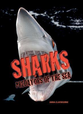 Sharks book cover