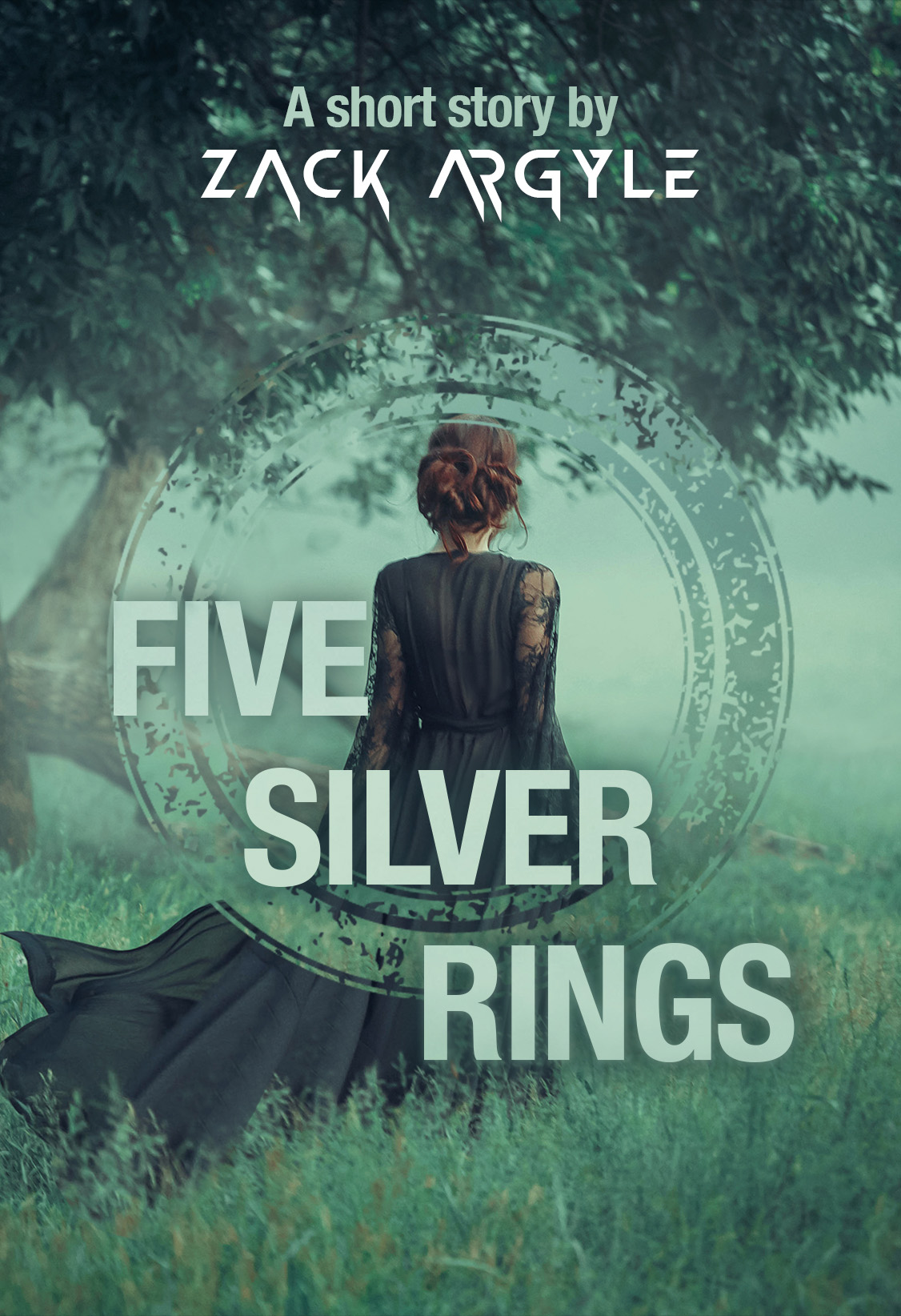 Five Silver Rings book cover
