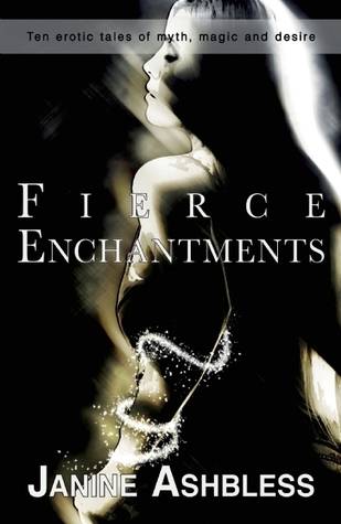 Fierce Enchantments book cover