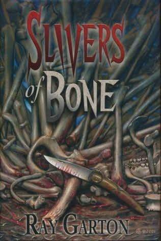 Slivers of Bone book cover