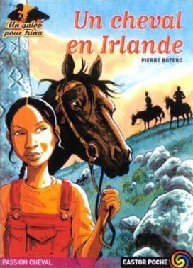 Un cheval en Irlande book cover