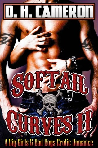 Softail Curves book cover 2