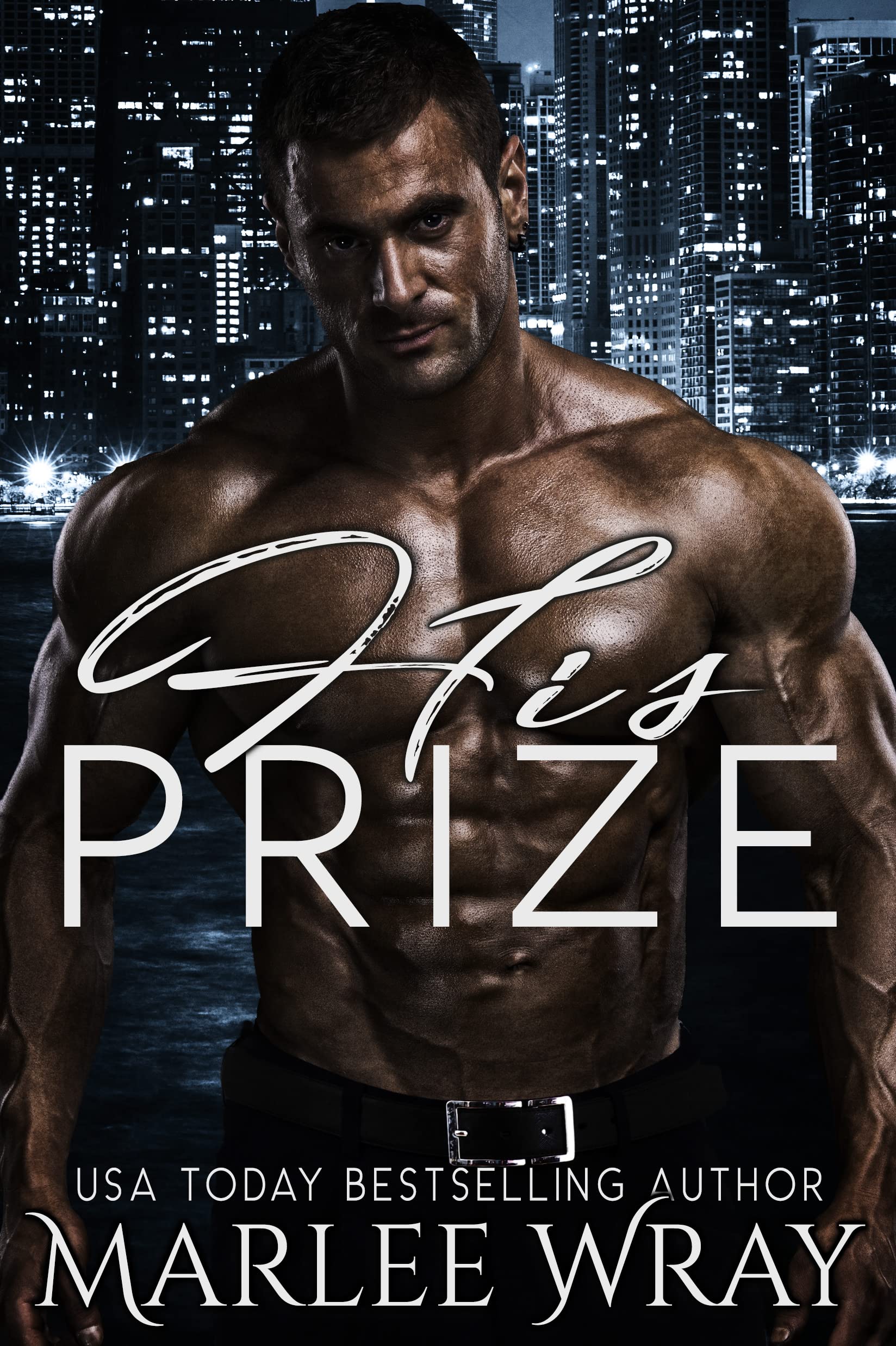 His Prize book cover