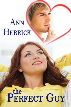 The Perfect Guy book cover