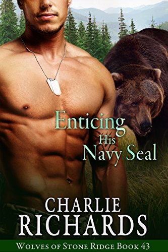 Enticing his Navy Seal book cover