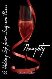 The Naughty List book cover