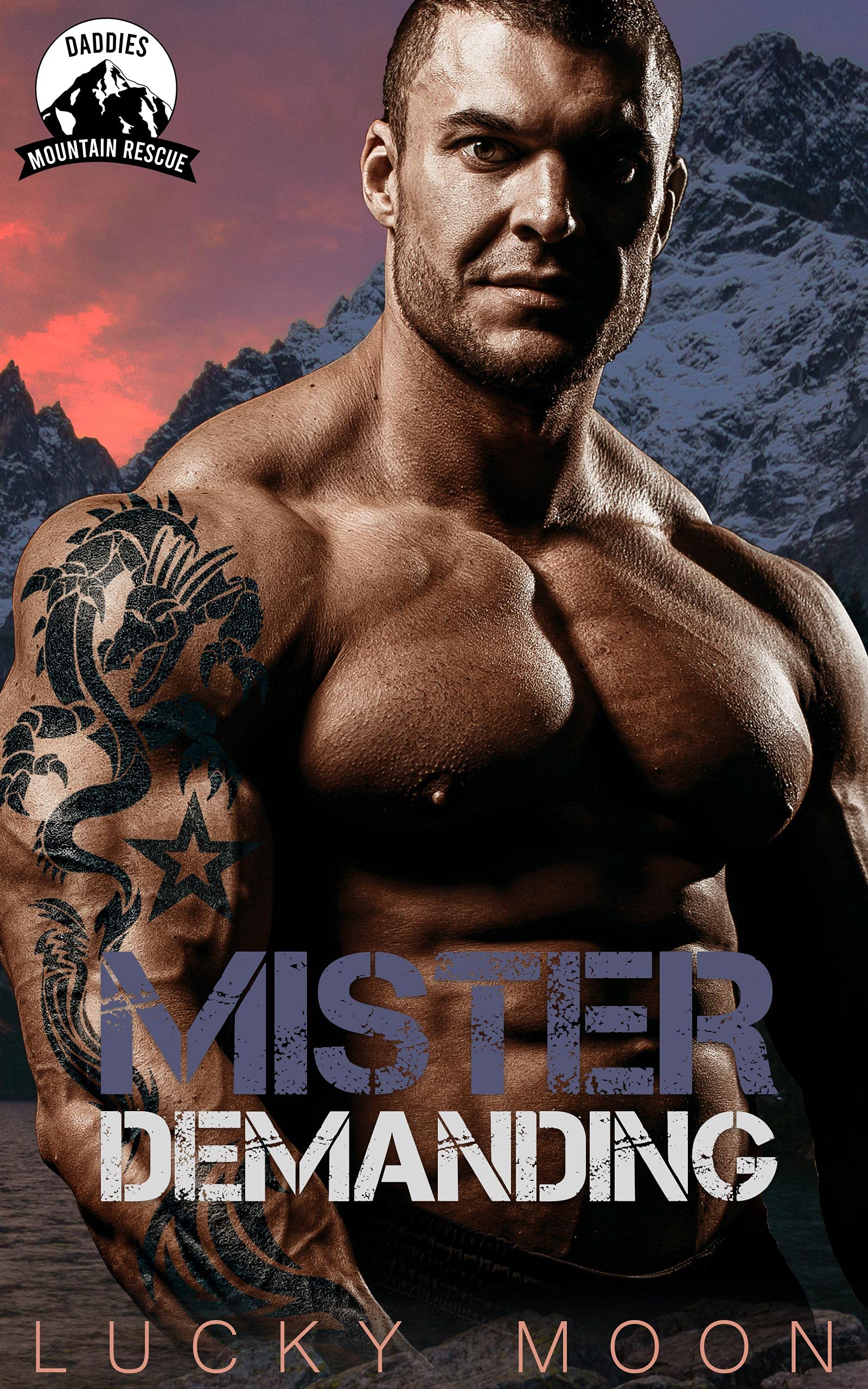 Mister Demanding book cover