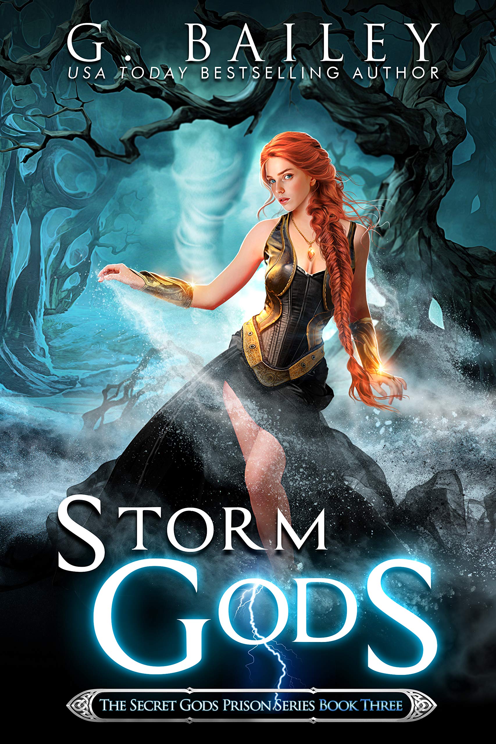 Secret Gods Prison book cover 3