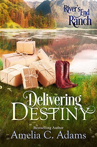 Delivering Destiny book cover