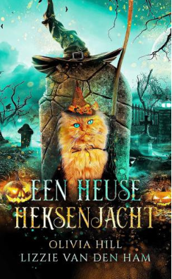 Een heuse heksenjacht book cover
