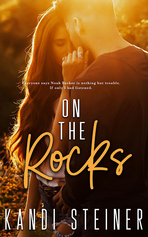 Becker Brothers book cover 1