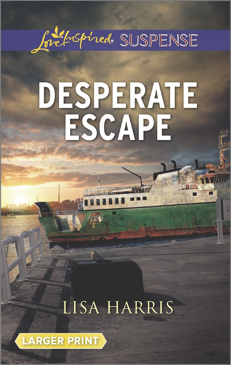 Desperate Escape book cover