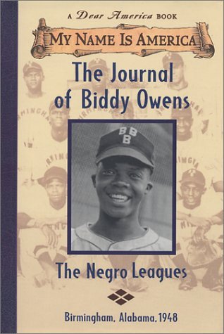 The Journal of Biddy Owens book cover