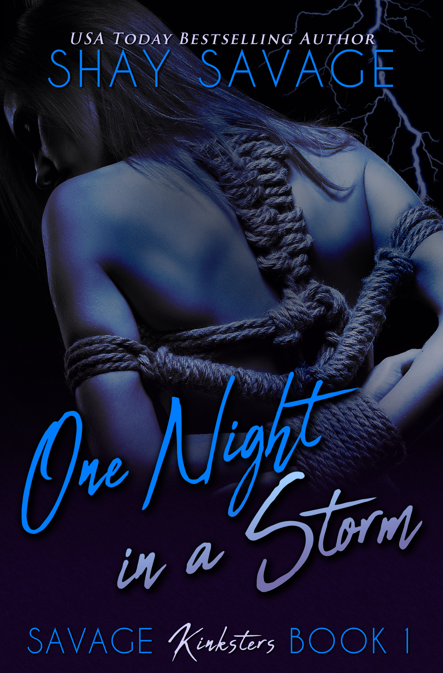 Savage Kinksters book cover 1