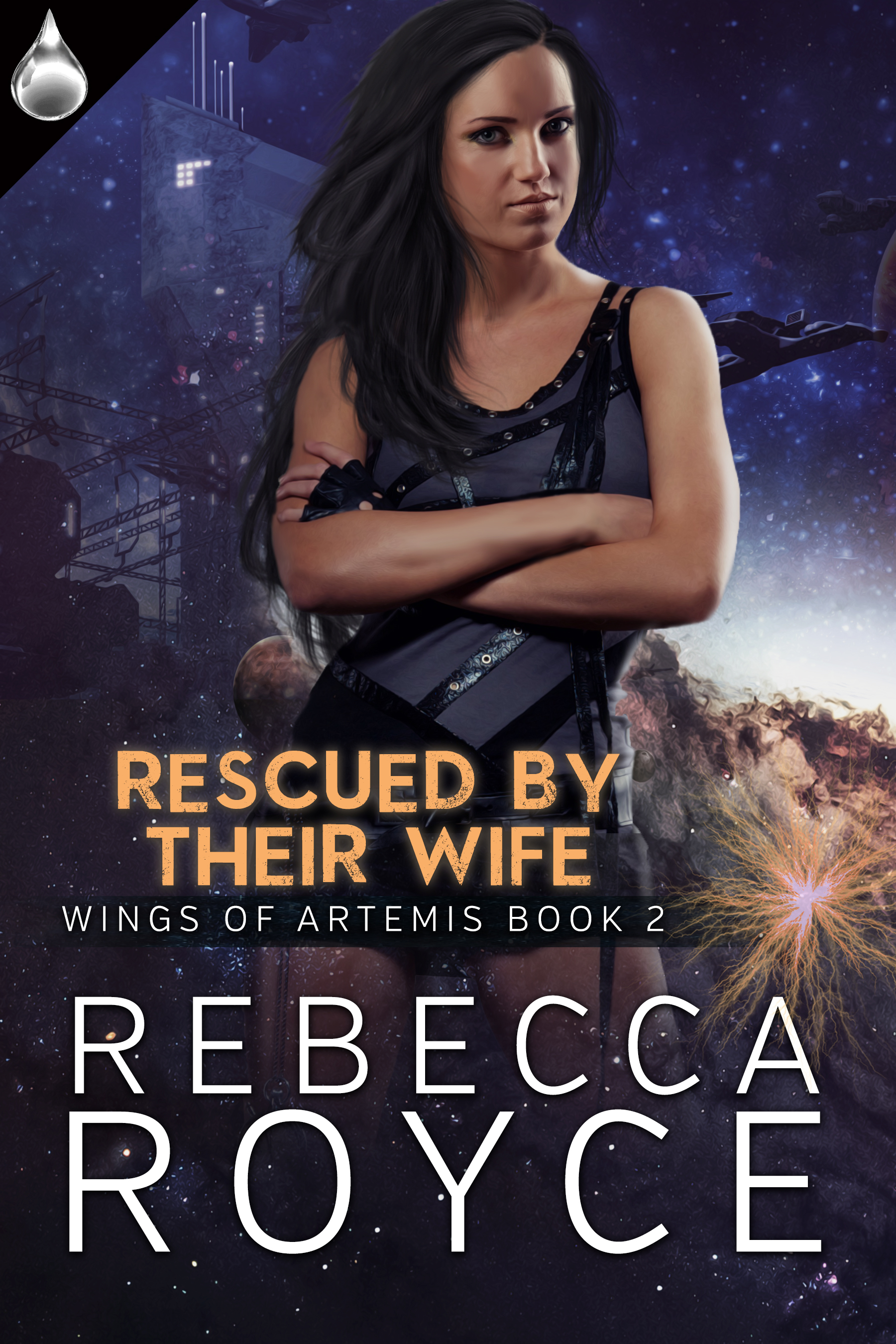 Wings of Artemis book cover 2