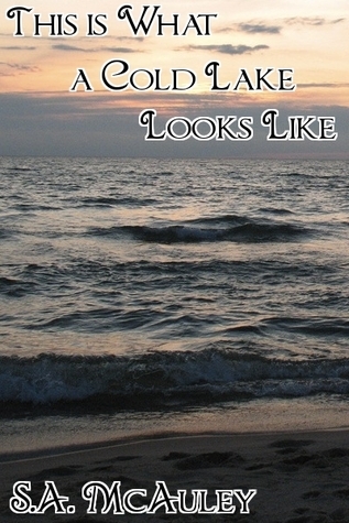 This is What a Cold Lake Looks Like book cover