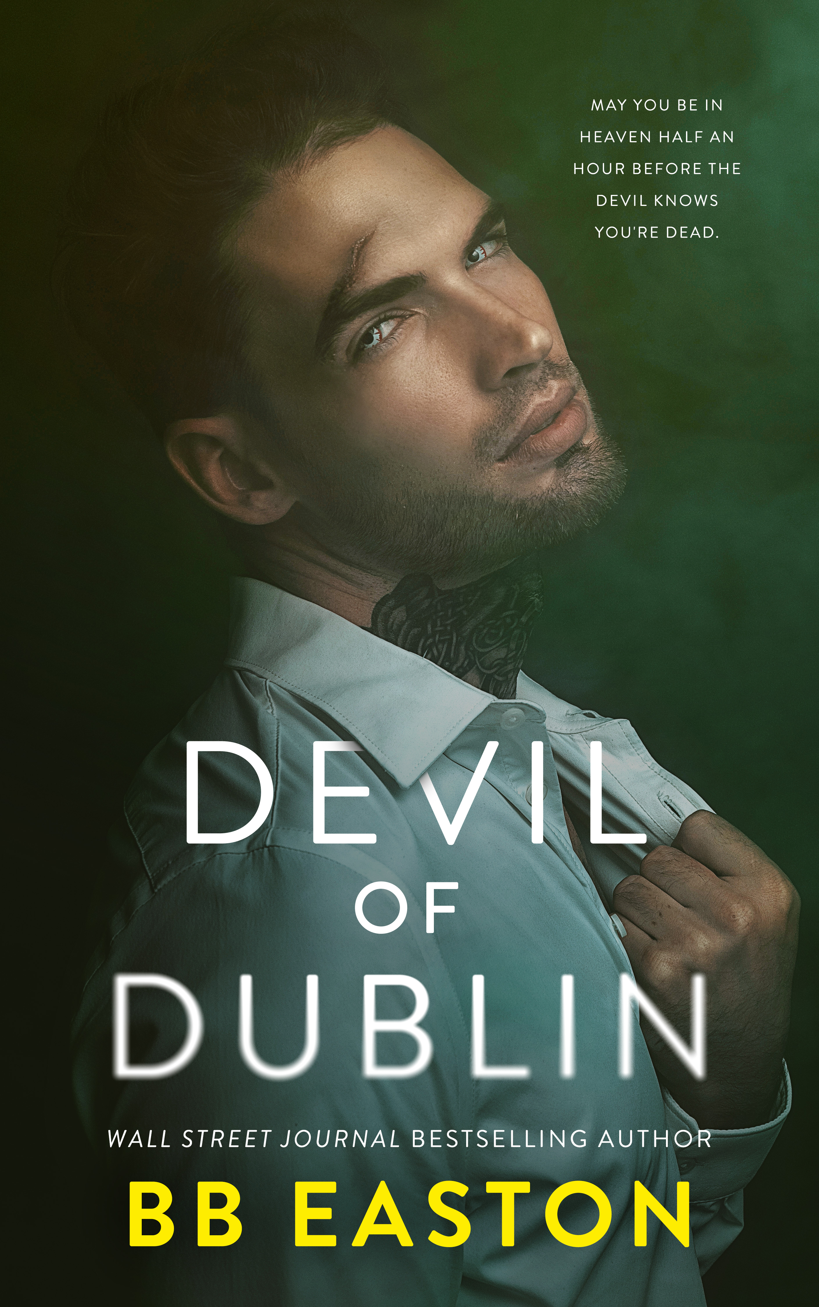 Devil of Dublin book cover